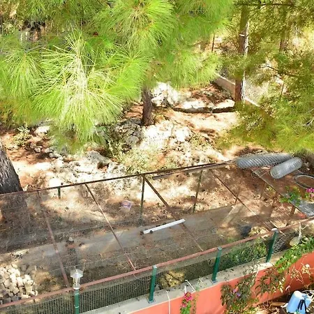 Holiday home Ormanin Icinde Genis Havuzlu Triplex *