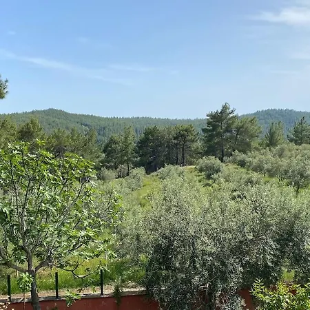 Holiday home Ormanin Icinde Genis Havuzlu Triplex Manavgat