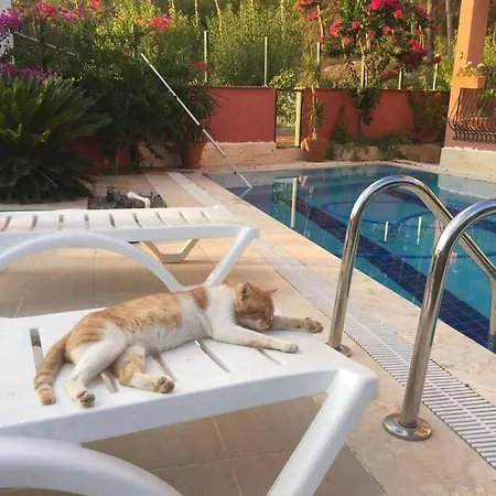 Ormanin Icinde Genis Havuzlu Triplex Holiday home *
